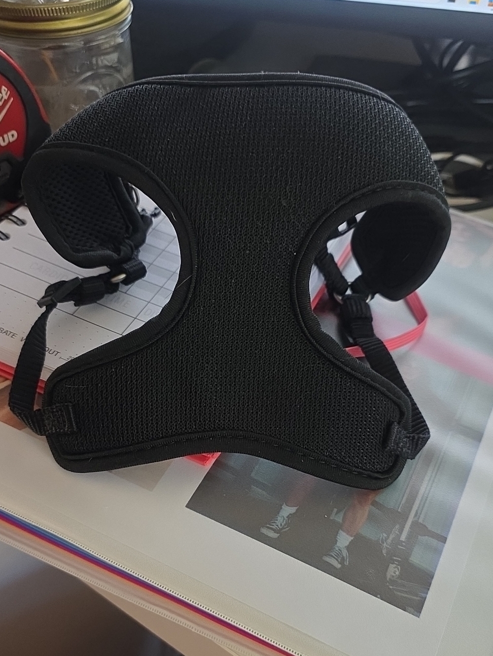 Head Black Padded Dog Harness with Breathable Mesh